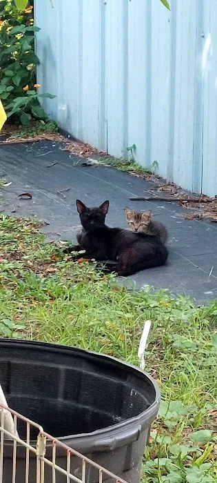 Oakbrook Mobile Home Park Picture 4