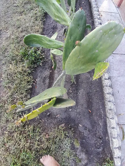 Oakbrook Mobile Home Park Picture 3