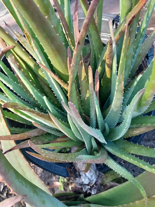 Oakbrook Mobile Home Park Picture 9