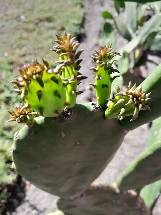 Oakbrook Mobile Home Park Picture 8