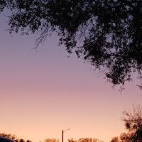 Citrus Hills RV Park ico