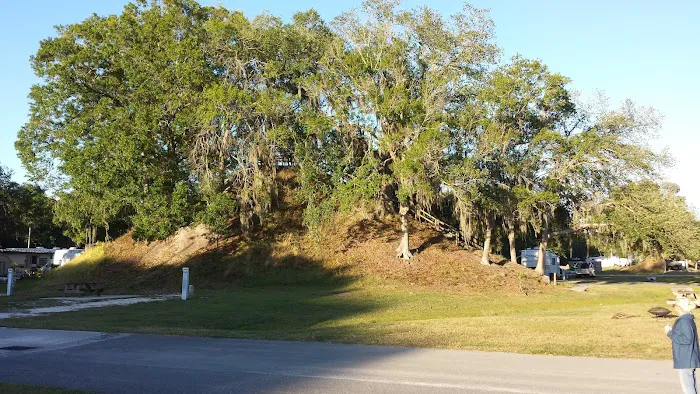 Citrus Hills RV Park Picture 8