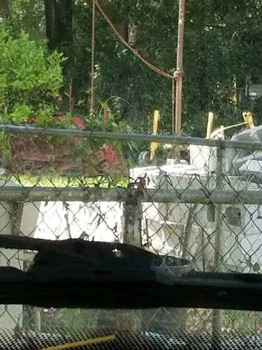 Village At Plant City Picture 5