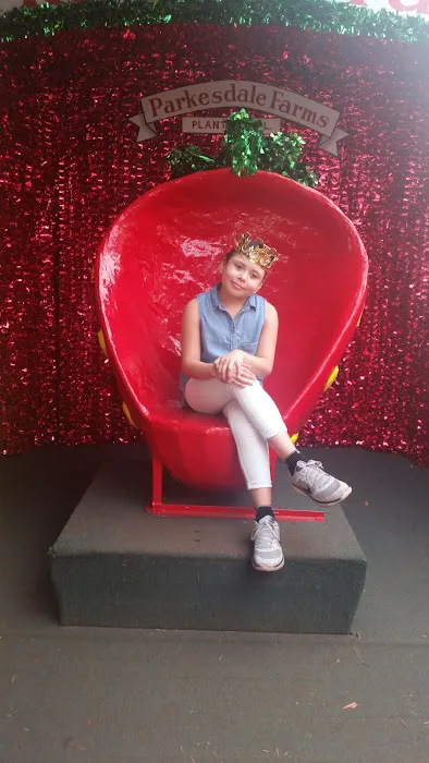 Village At Plant City Picture 4