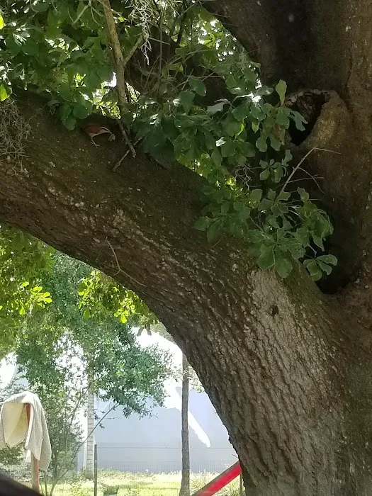 Village At Plant City Picture 6