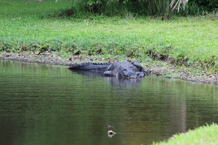The Lakes at CountryWood Picture 3