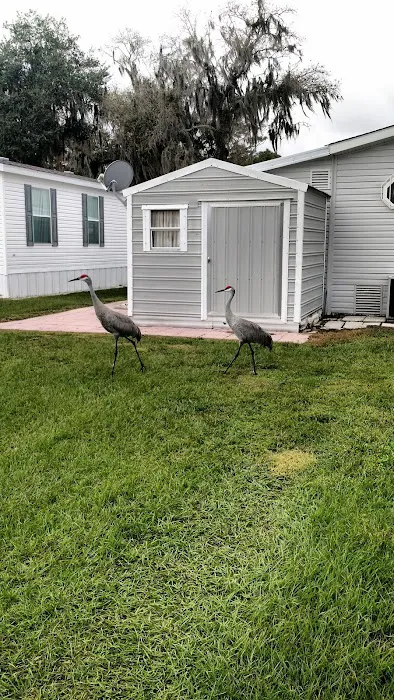 Robinson Orange Park Picture 1