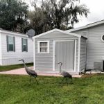 Robinson Orange Park