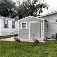 Robinson Orange Park ico