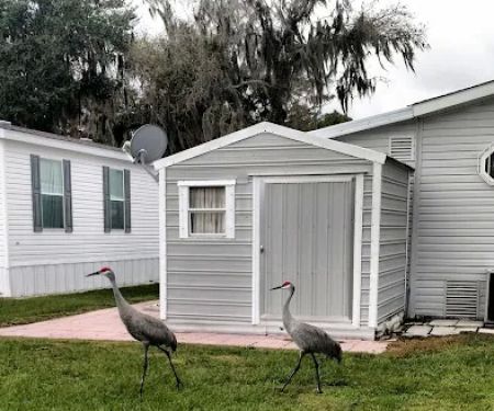 Robinson Orange Park