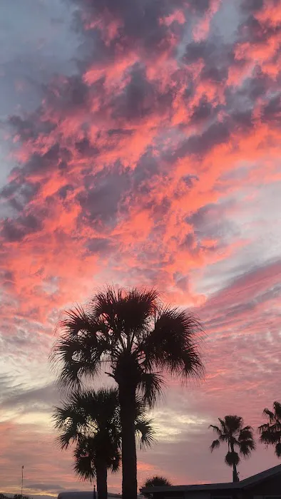 Florida SKP Resort Picture 8
