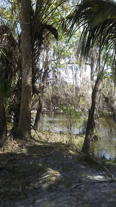 Lazy Acres RV Park Picture 5