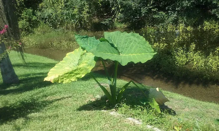 Magnolia Hill Leisure Picture 4