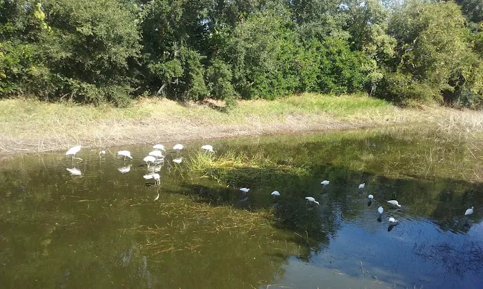 Magnolia Hill Leisure Picture 6