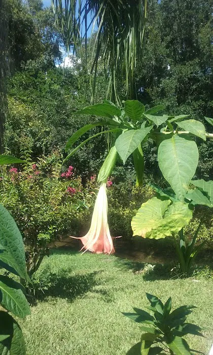 Magnolia Hill Leisure Picture 5