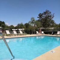 Magnolia Hill Leisure ico