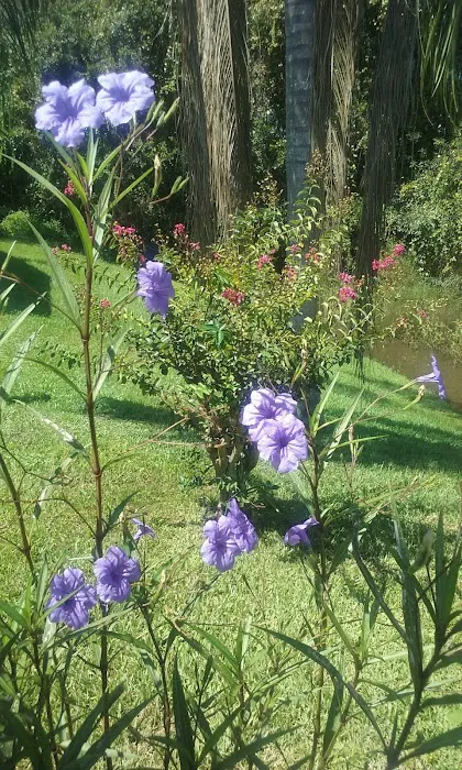 Magnolia Hill Leisure Picture 9