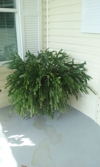 Magnolia Hill Leisure Picture 8