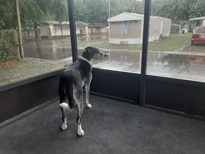 Rainbow Rock Community Picture 2