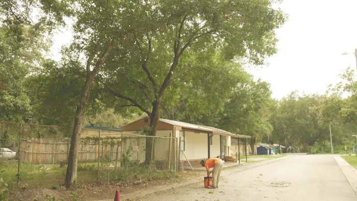 Rainbow Rock Community Picture 1