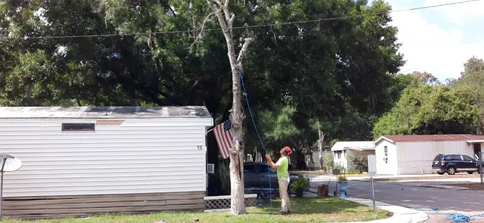 Rainbow Rock Community Picture 4