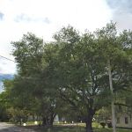 Palomar Mobile Home Park