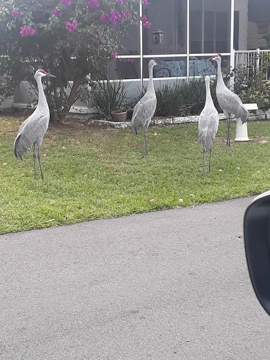 Featherock Picture 6