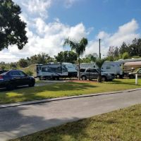 Palm Paradise Park ico
