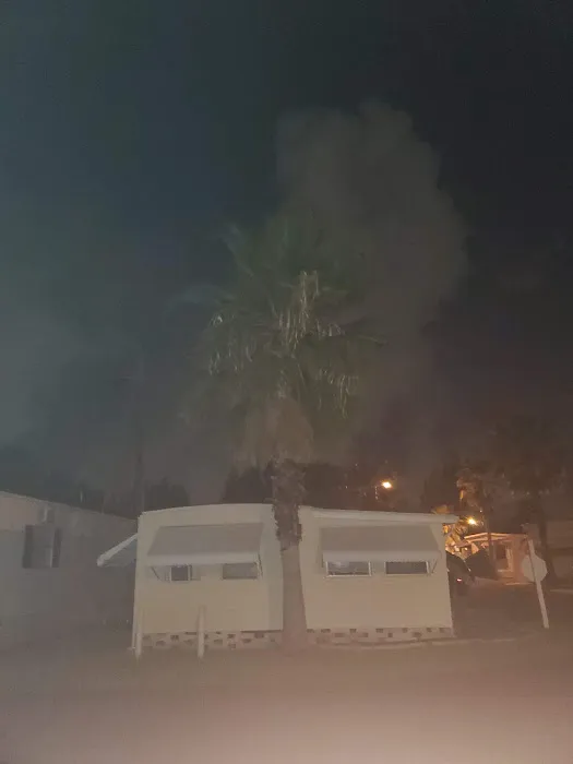 Palm Grove Village Picture 7