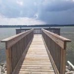 Bedrock Porpoise Park