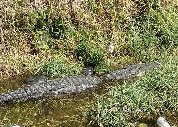 Lake Seminole Estates Picture 5