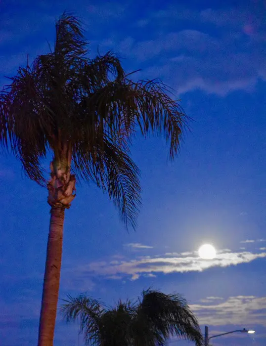 Lake Seminole Estates Picture 9