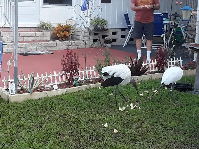 Twelve Oaks Mobile Home Park Picture 4