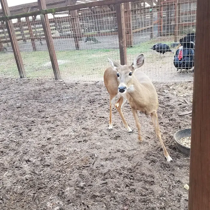 River Ranch RV Rentals Picture 8