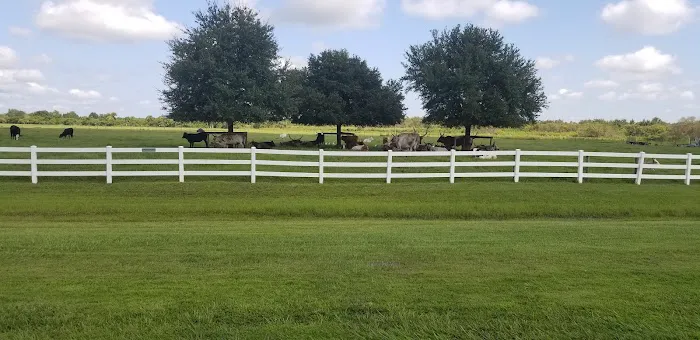 RV Camping Florida, by River Ranch Picture 3