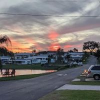 Orange Blossom Fellowship ico