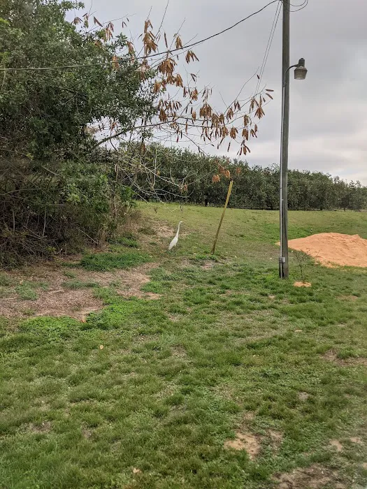 Orange Blossom Fellowship Picture 2