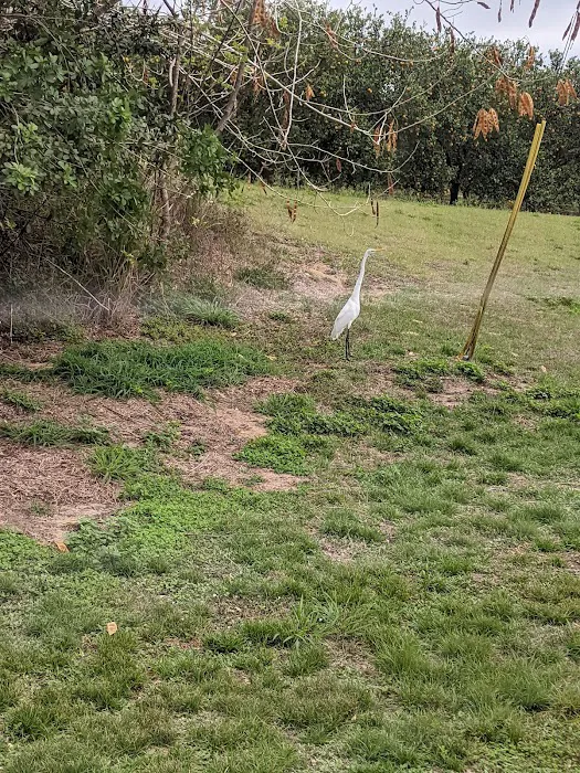 Orange Blossom Fellowship Picture 5