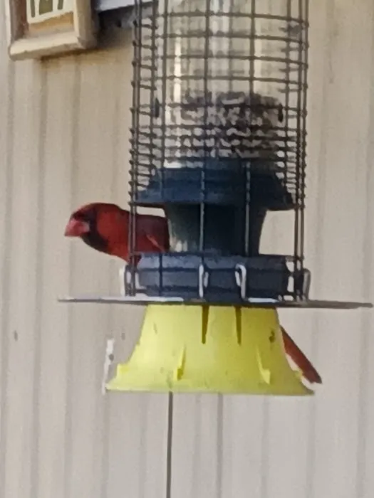 Galaxy Mobile Home Park Picture 3