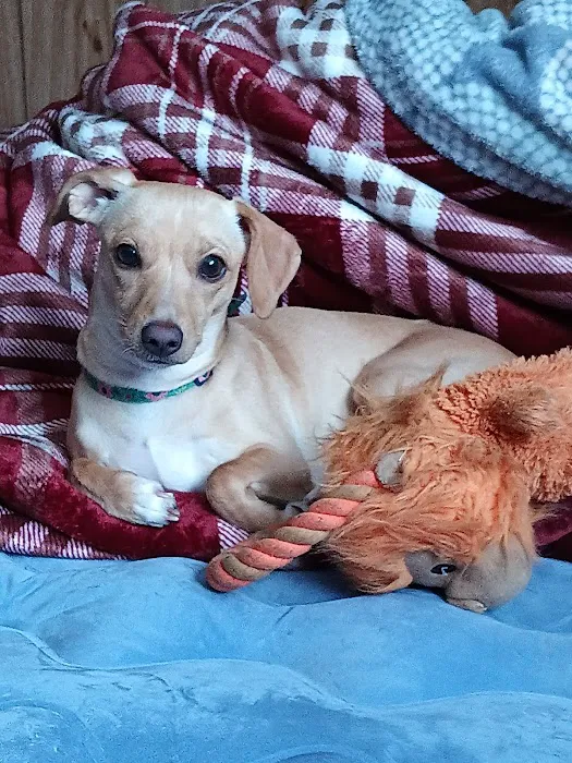 Galaxy Mobile Home Park Picture 2