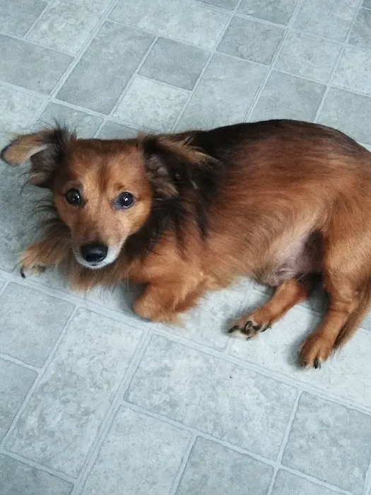 Galaxy Mobile Home Park Picture 6