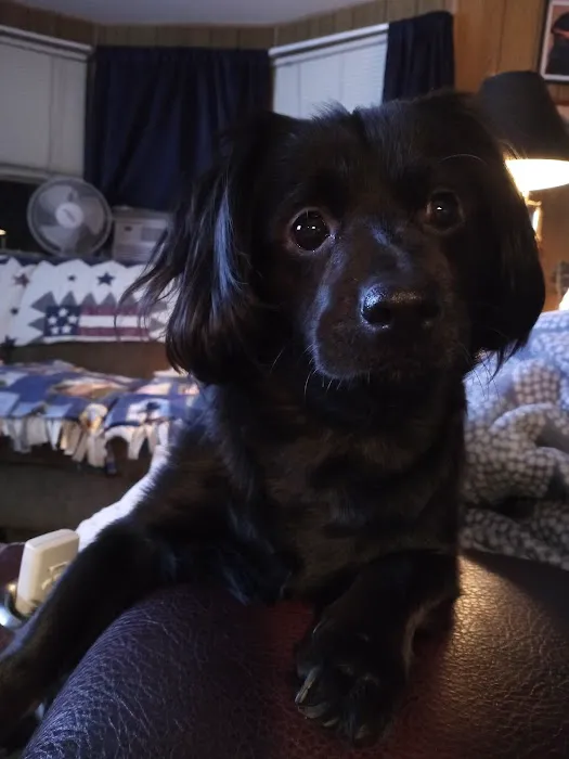 Galaxy Mobile Home Park Picture 5