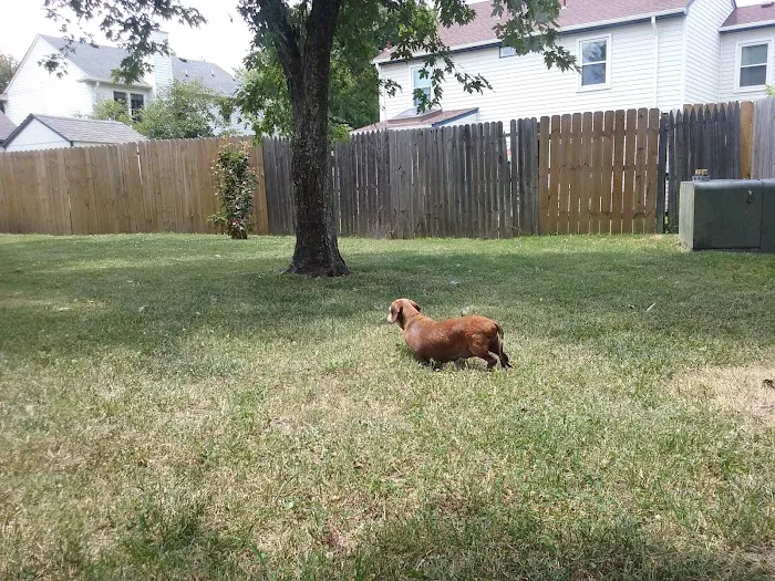 Galaxy Mobile Home Park Picture 7