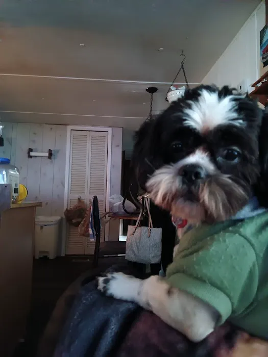 Galaxy Mobile Home Park Picture 4