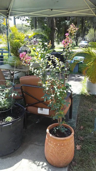 Galaxy Mobile Home Park Picture 9