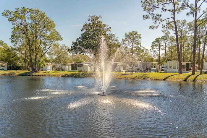 Tampa East Picture 8