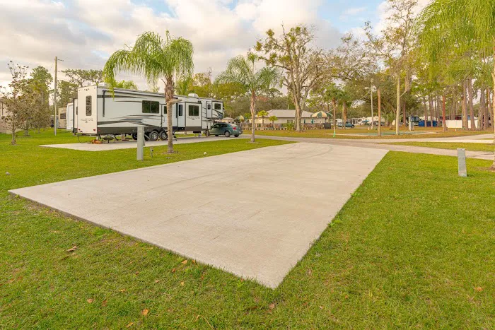 Tampa East Picture 10