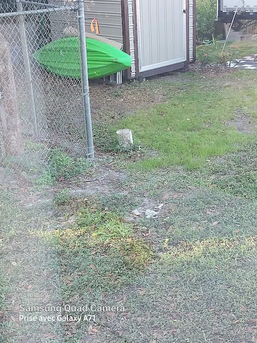 Tampa East RV Resort, The Oaks Picture 8