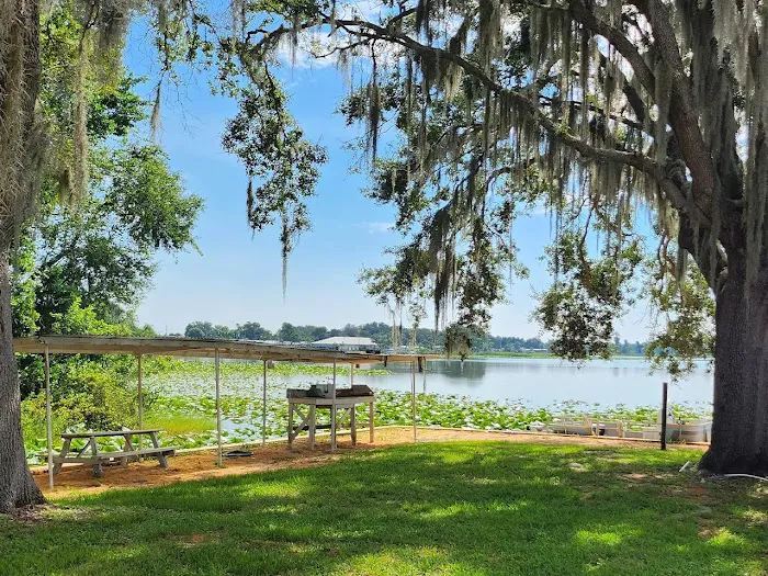 Avon Park Village Picture 3