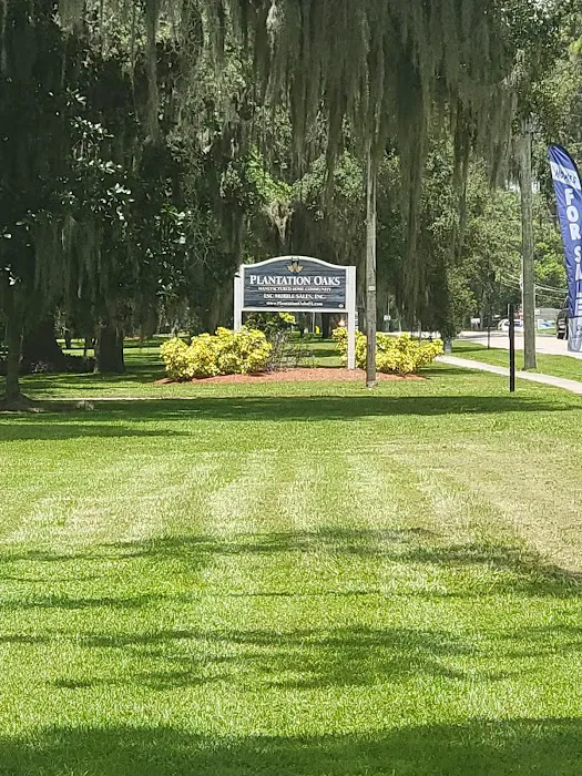 Plantation Oaks Picture 1
